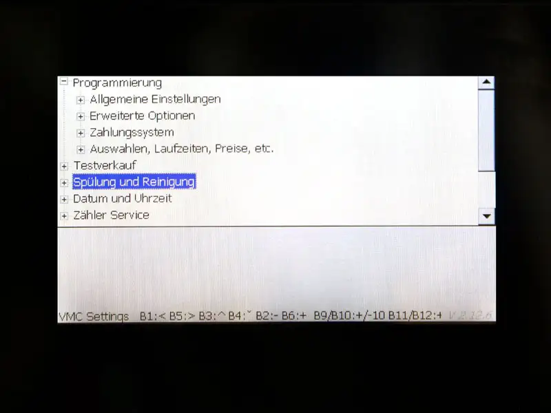 Display zeigt Menuepunkt zur Diagnose des Statuscode 17.
